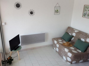 Appartement climatisé avec loggia, parking privé et proche plage à Sète - FR-1-338-442